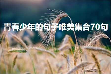 鏃犺█鐨勫敮缇庡彞瀛愶紙鏂囨949鏉★級